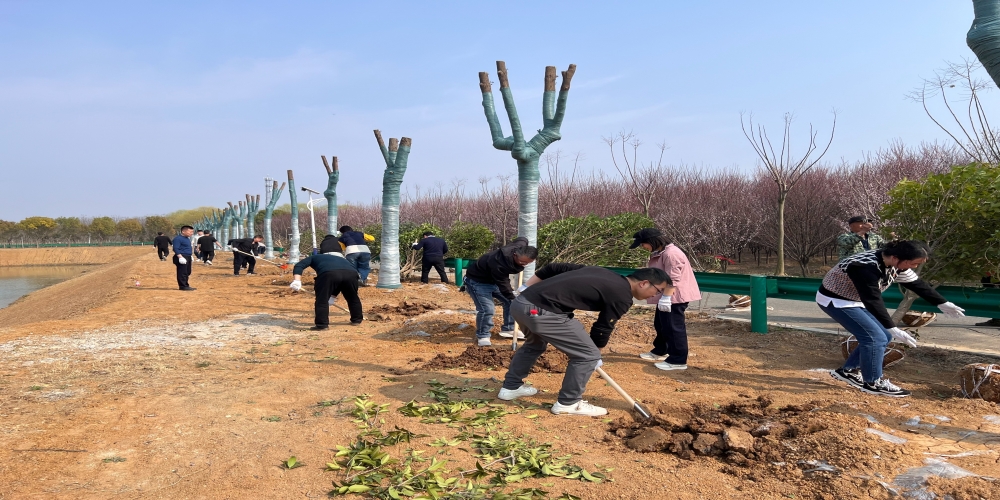 黨建引領(lǐng)共植綠 凝心聚力譜新篇 ——和合生態(tài)、德嘉置業(yè)黨支部赴小廟基地義務(wù)植樹(shù)
